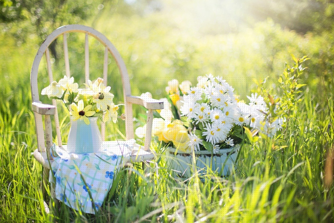 I diversi metodi di irrigazioni giardino