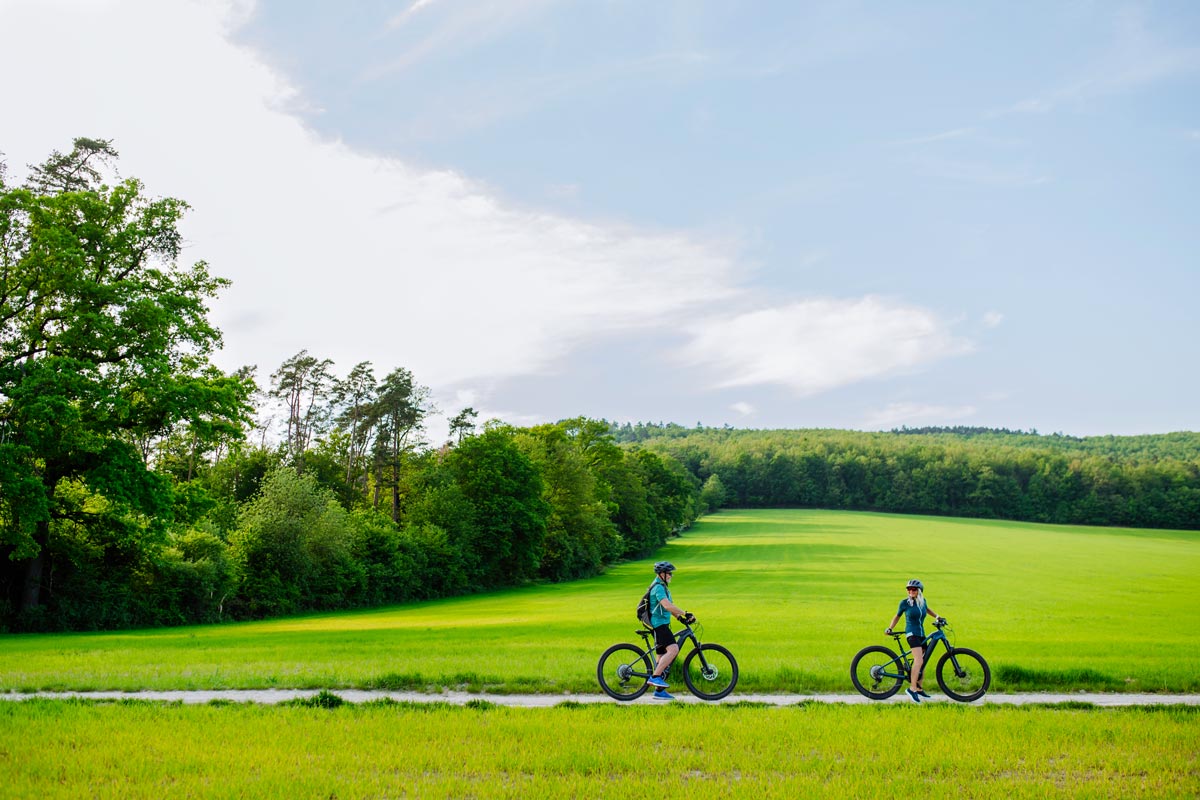 Visitare Milano in bici: scopriamo come