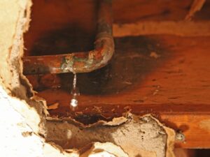 Come_prevenire_le_perdite_d_acqua_in_bagno_errori_comuni_debd36aa02